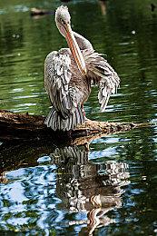 还是熟悉的味道 《枪墓G.O.R.E.》公布实机演示预告片